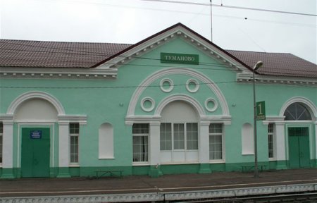 День села в д. Туманово